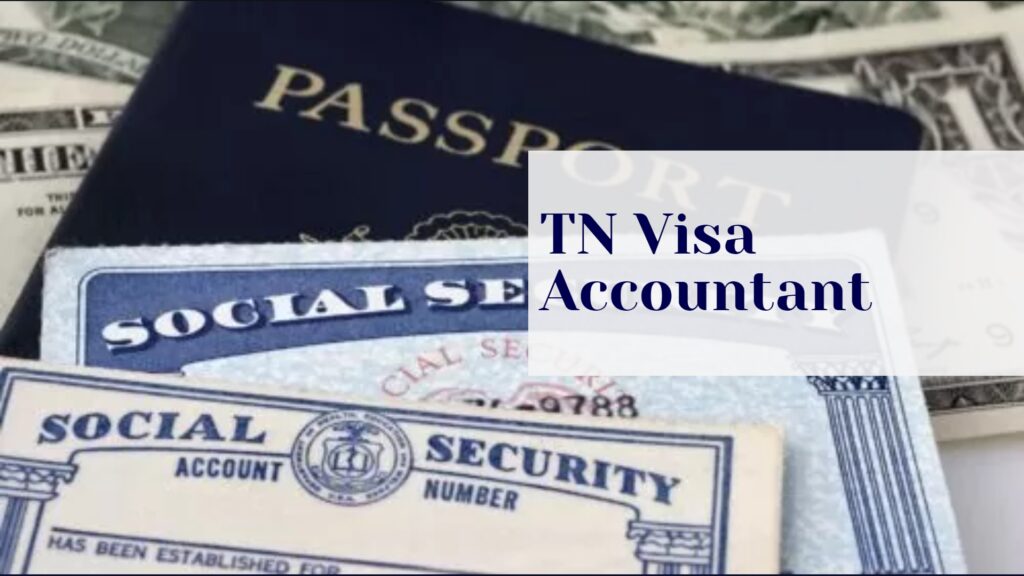 TN Visa Accountant